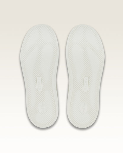 PRIMA (PAFBSL101) - Basil